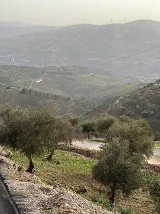 أرض للبيع في Al-Rashaida – صورة 13