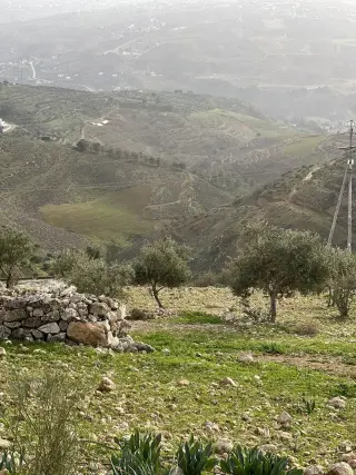 أرض للبيع في Al-Rashaida – صورة 3