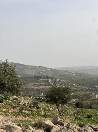 أرض للبيع في Al-Rashaida – صورة 15