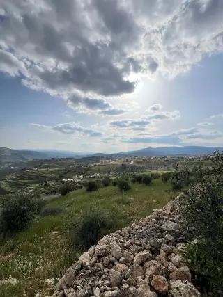 Land for sale in Al-Rashaida – photo 10