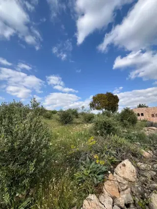 Land for sale in Al-Rashaida – photo 6