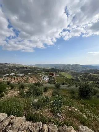 Land for sale in Al-Rashaida – photo 7