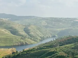 أرض للبيع في Al-Majdal – صورة 16
