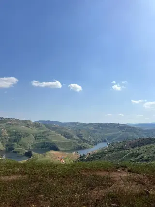 أرض للبيع في Al-Majdal – صورة 12