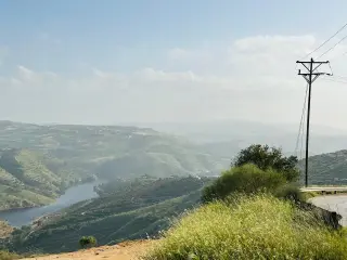 أرض للبيع في Al-Majdal – صورة 20