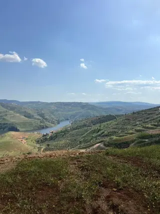 أرض للبيع في Al-Majdal – صورة 11