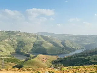 أرض للبيع في Al-Majdal