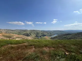 أرض للبيع في Al-Majdal – صورة 10