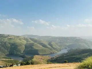 أرض للبيع في Al-Majdal – صورة 19