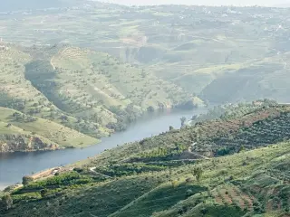 أرض للبيع في Al-Majdal – صورة 17
