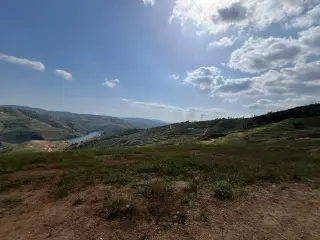 أرض للبيع في Al-Majdal – صورة 4