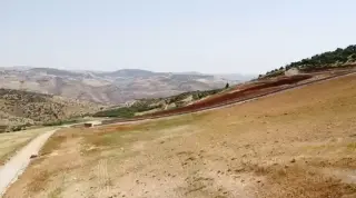 Land for sale in Al-Majdal – photo 8