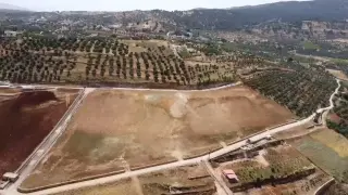 Land for sale in Al-Majdal – photo 10
