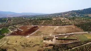 Land for sale in Al-Majdal – photo 4