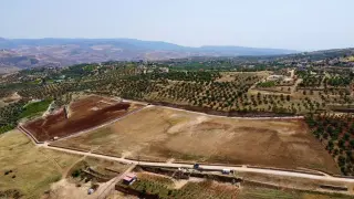 Land for sale in Al-Majdal – photo 6