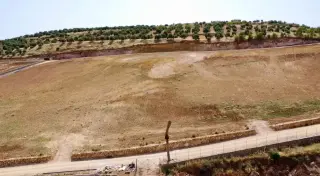 Land for sale in Al-Majdal