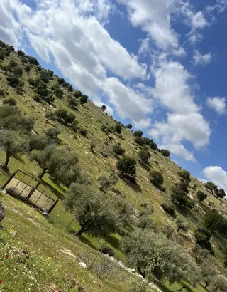 Land for sale in Kufor Khal – photo 2