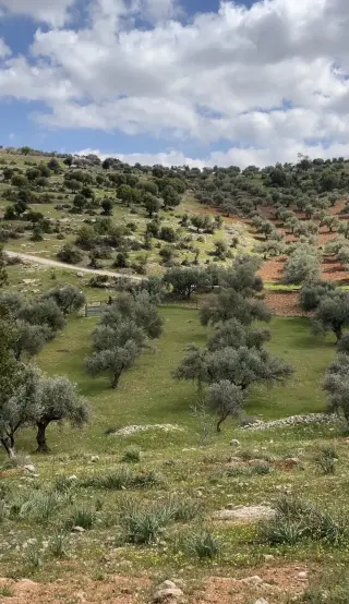 Land for sale in Kufor Khal