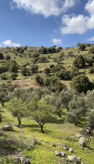 Land for sale in Kufor Khal – photo 5