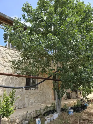 أرض للبيع في Kufor Khal – صورة 11