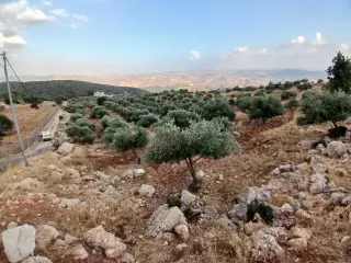 Land for sale in Debbin – photo 13