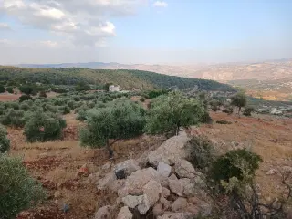 Land for sale in Debbin – photo 7