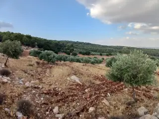 Land for sale in Debbin – photo 5
