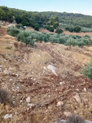 Land for sale in Debbin – photo 9