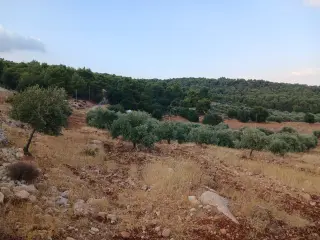 Land for sale in Debbin – photo 6