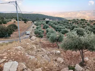 Land for sale in Debbin – photo 12