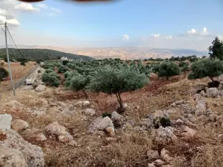 Land for sale in Debbin – photo 14