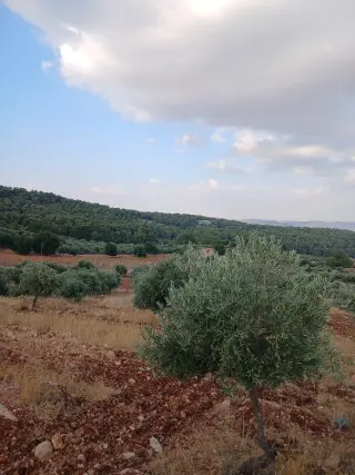 Land for sale in Debbin – photo 3