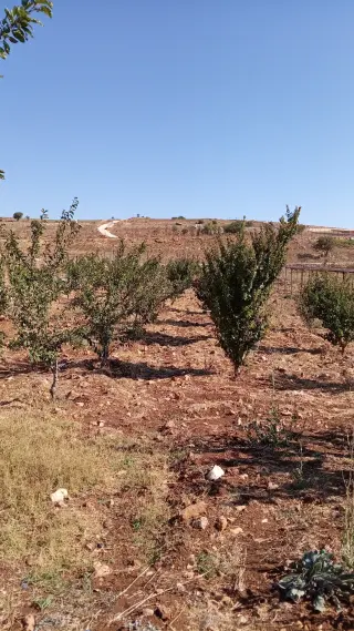 أرض للبيع في أخرى
