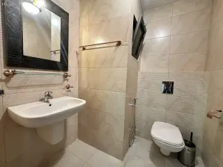 الصورة 4 من 12