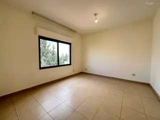 الصورة 12 من 12