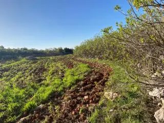 Land for sale in Other