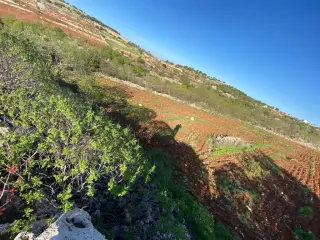 Land for sale in Other – photo 5