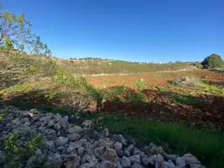 Land for sale in Other – photo 3