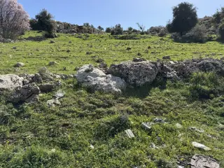 Land for sale in Sakhra – photo 6