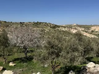 Land for sale in Sakhra – photo 2
