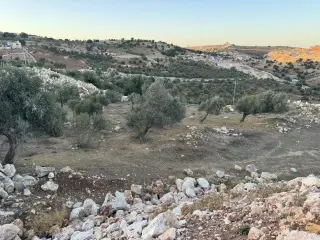 Land for sale in Sakhra – photo 8