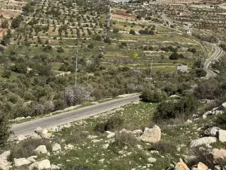 Land for sale in Sakhra – photo 3