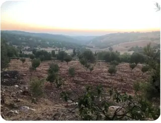 Land for sale in A'fna – photo 3
