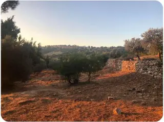 Land for sale in A'fna – photo 2