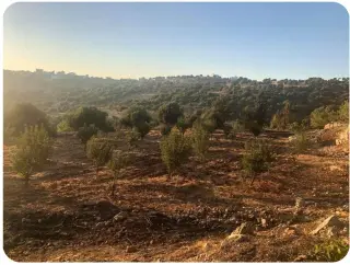 Land for sale in A'fna – photo 4