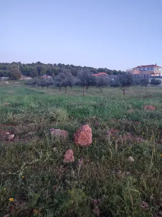 أرض للبيع في E'in Jana – صورة 2