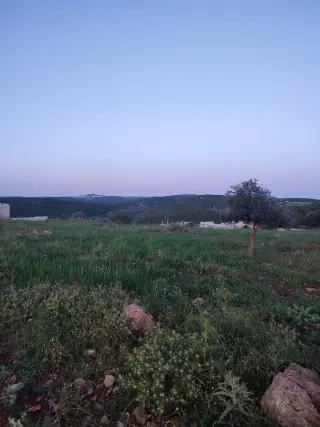 أرض للبيع في E'in Jana – صورة 4