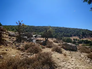Land for sale in E'in Jana – photo 6