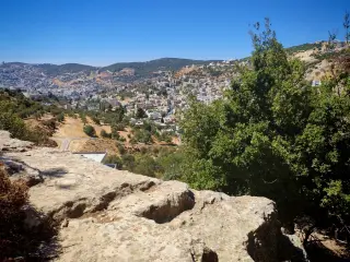 Land for sale in E'in Jana – photo 4