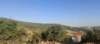 Land for sale in A'anjara – photo 7